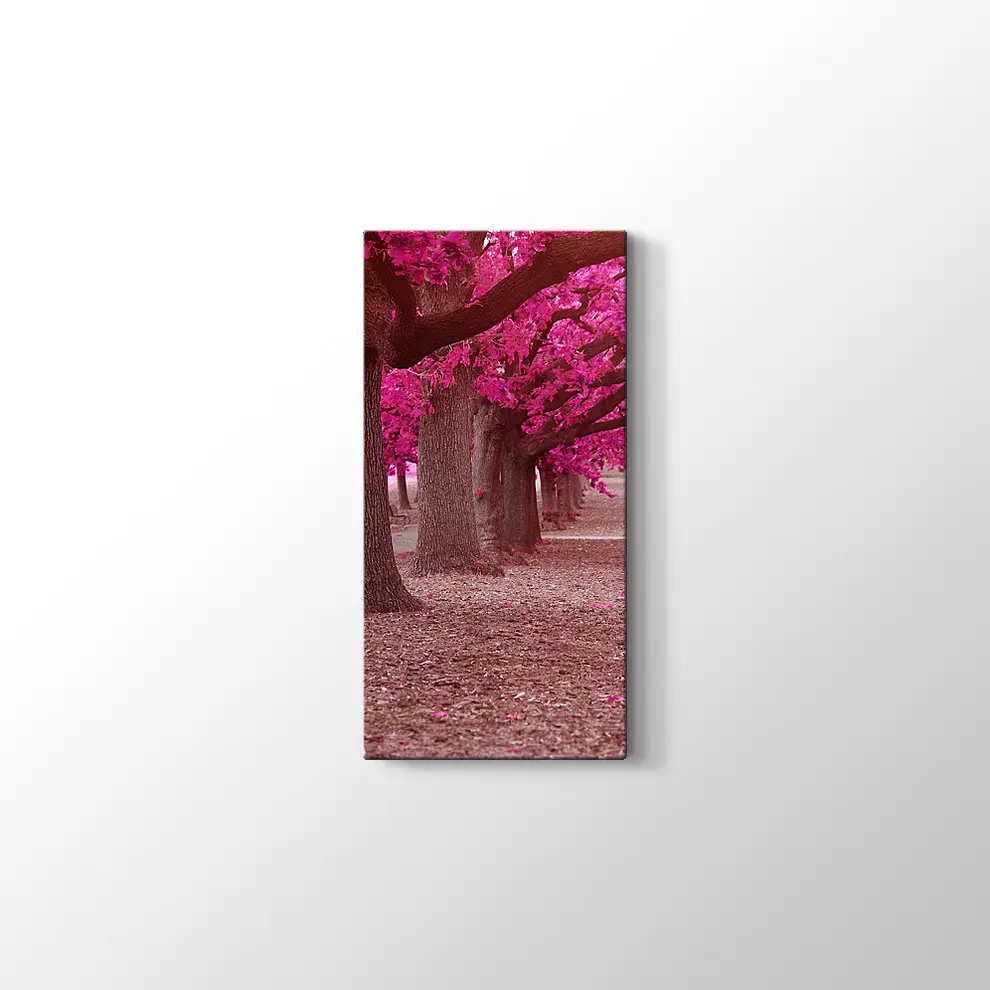 Pembe Park Kanvas Tablo