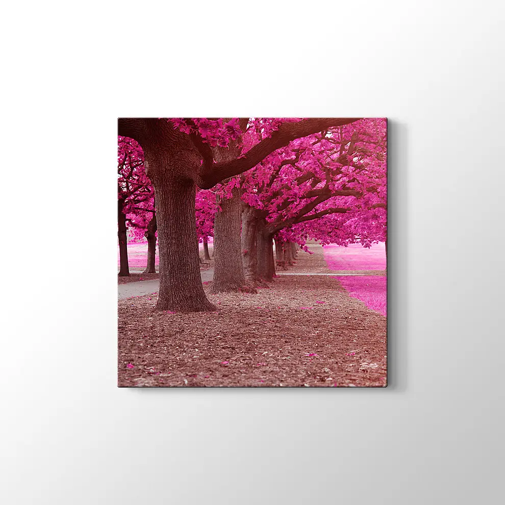 Pembe Park Kanvas Tablo