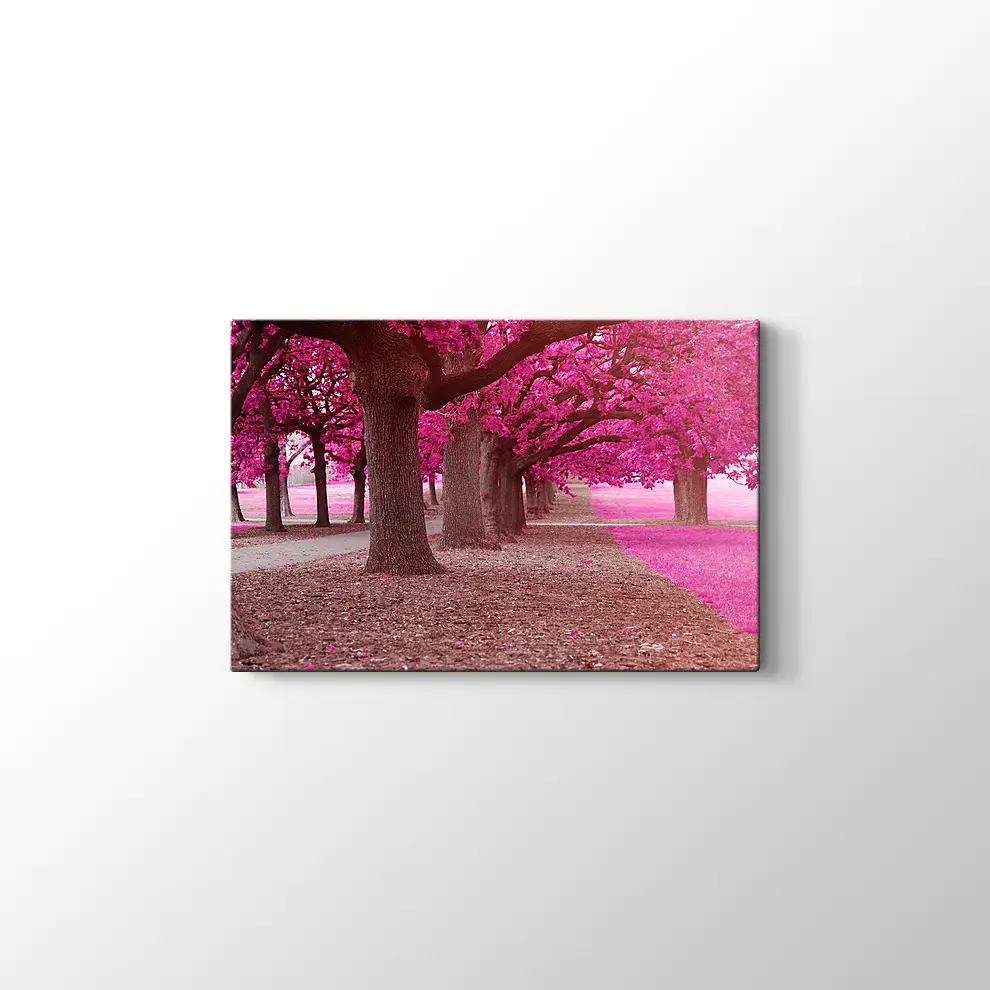 Pembe Park Kanvas Tablo