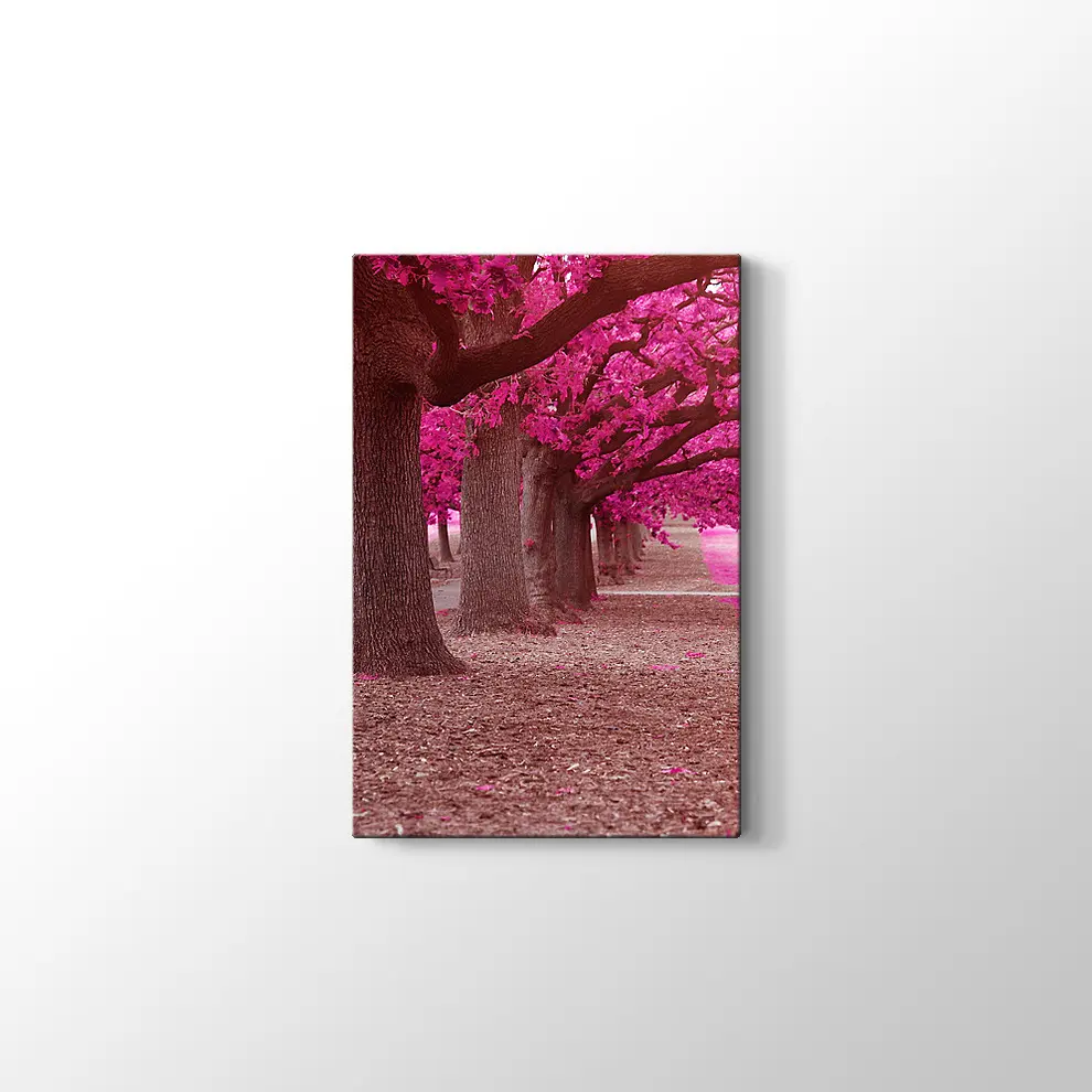 Pembe Park Kanvas Tablo