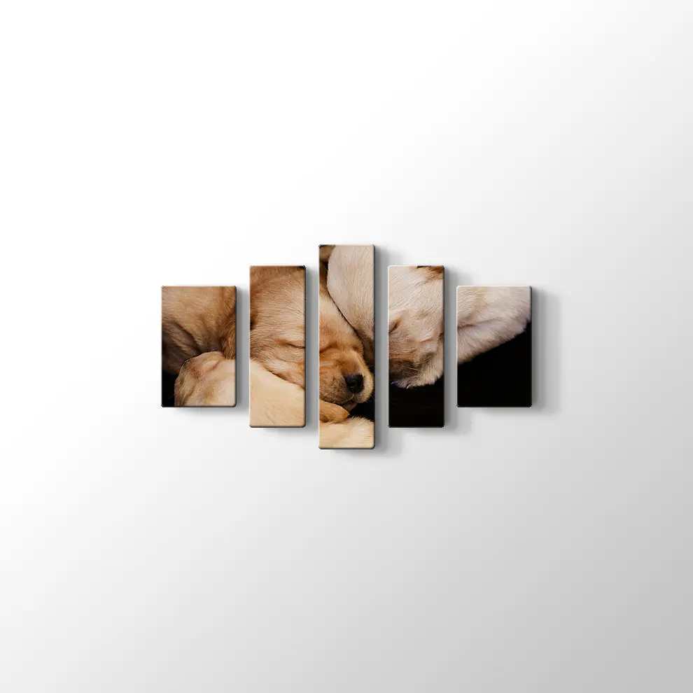 Labrador Yavruları Kanvas Tablo