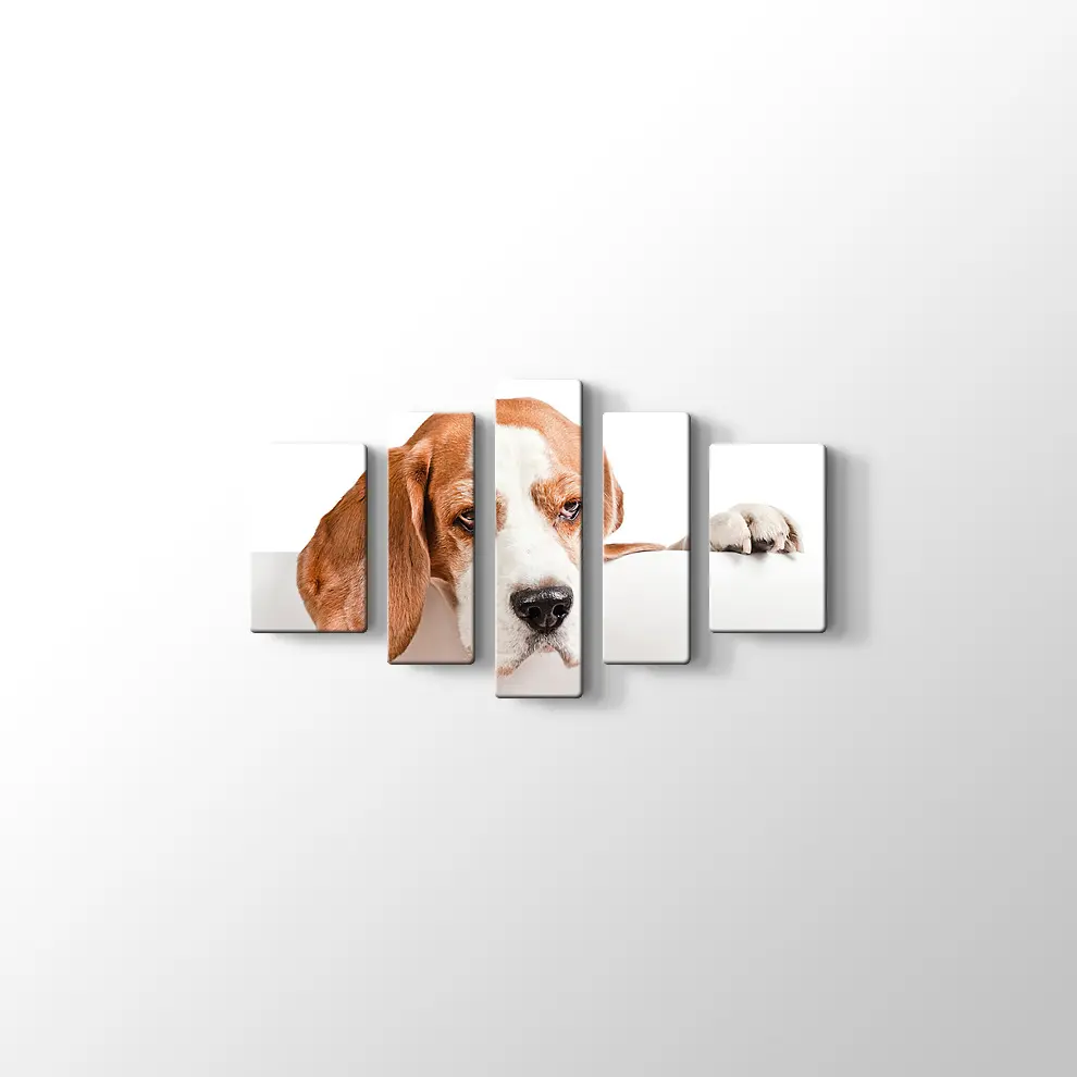 Sevimli Tazı Köpeği Kanvas Tablo