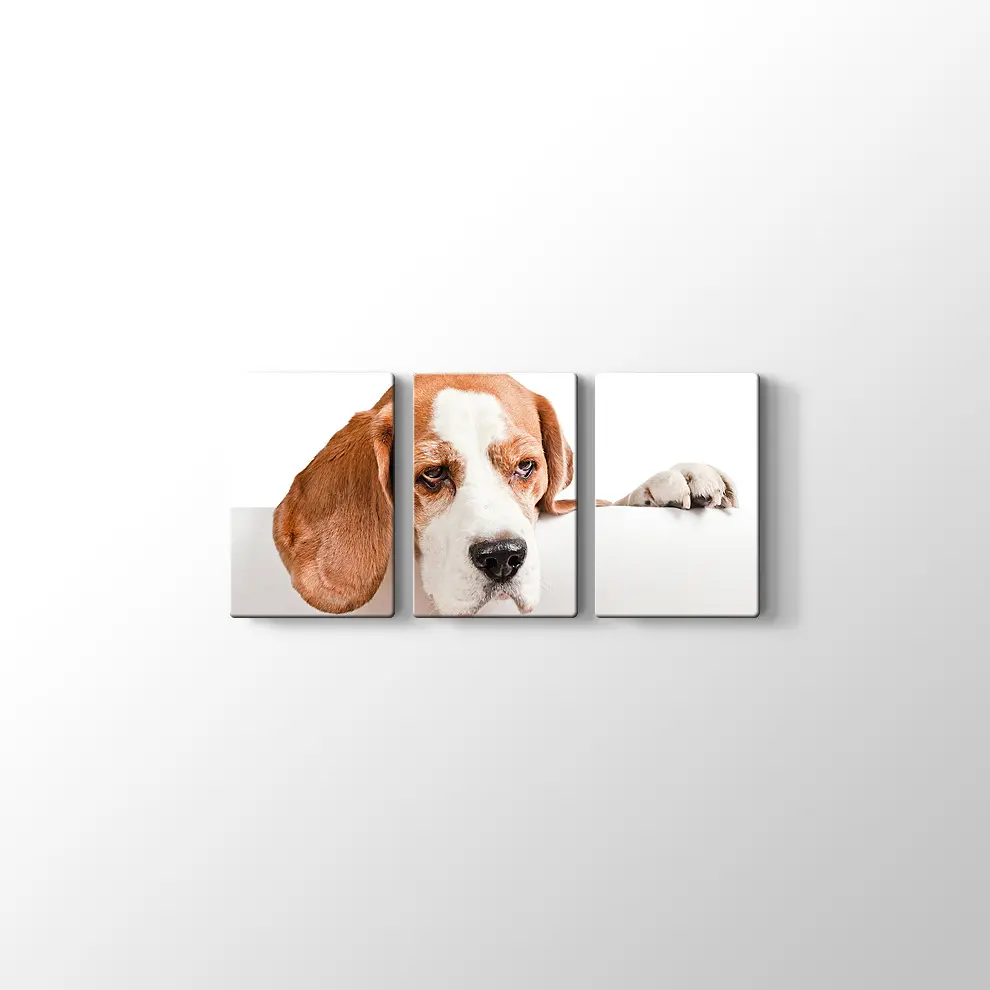 Sevimli Tazı Köpeği Kanvas Tablo