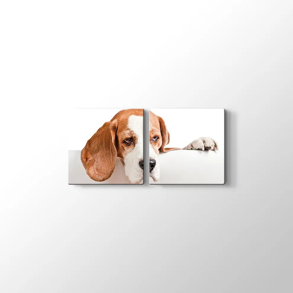 Sevimli Tazı Köpeği Kanvas Tablo