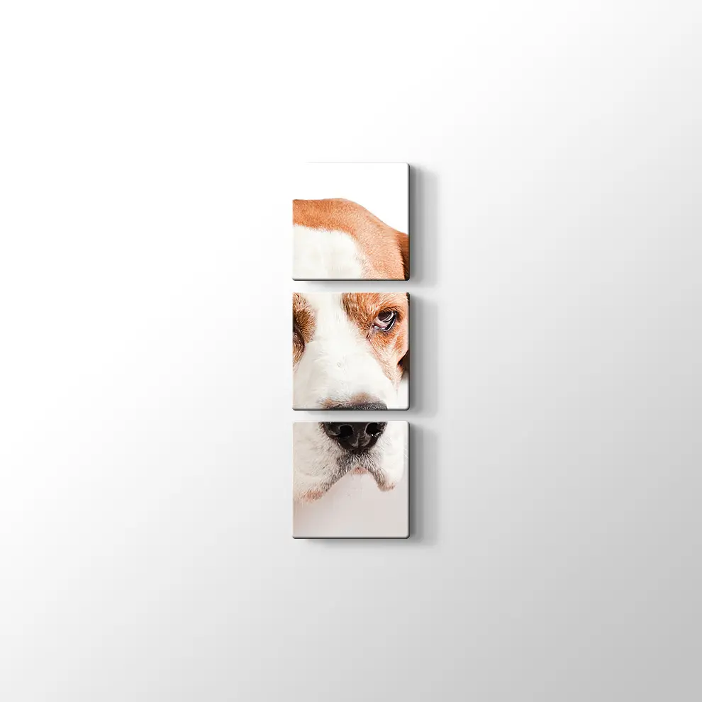 Sevimli Tazı Köpeği Kanvas Tablo