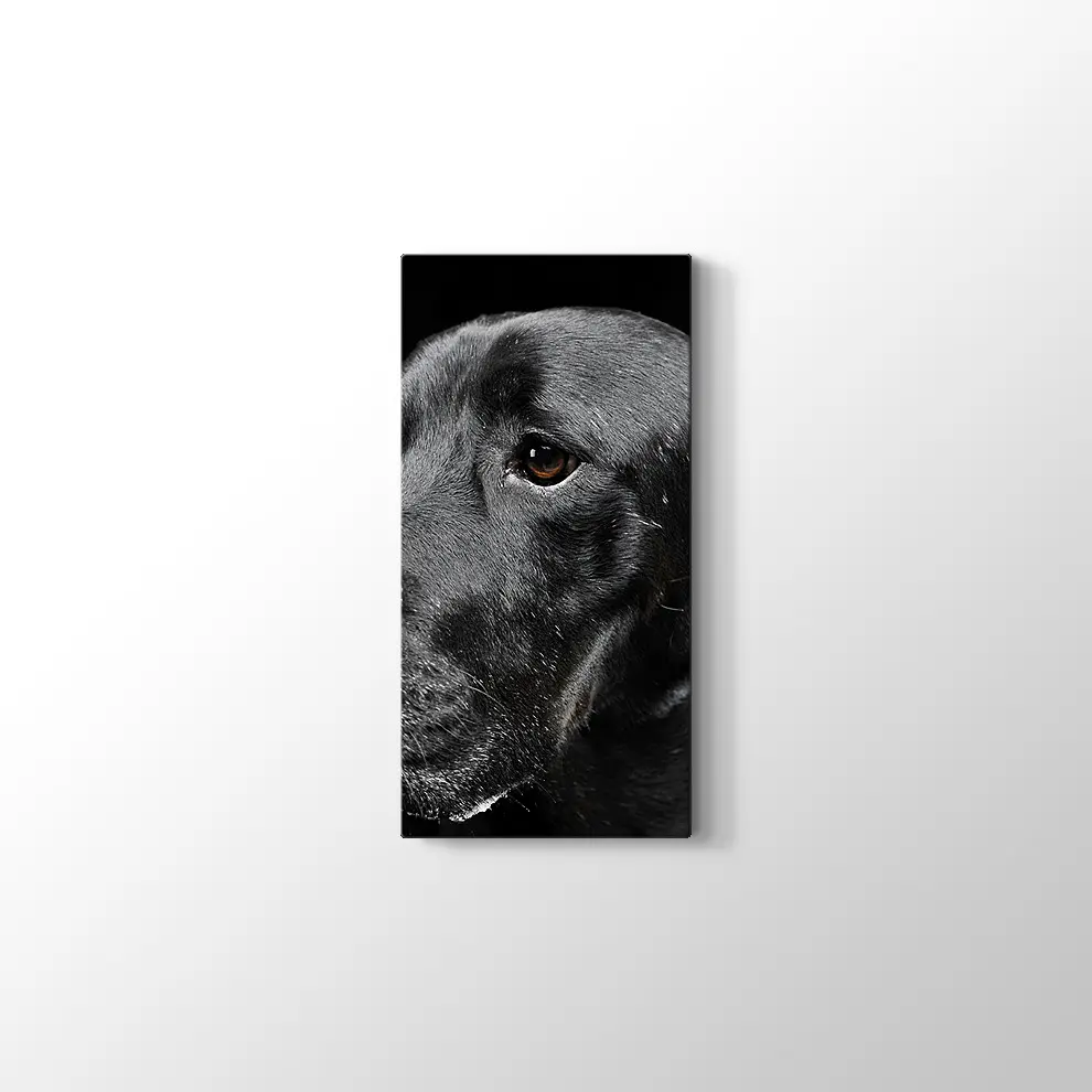 Siyah Köpek Kanvas Tablo