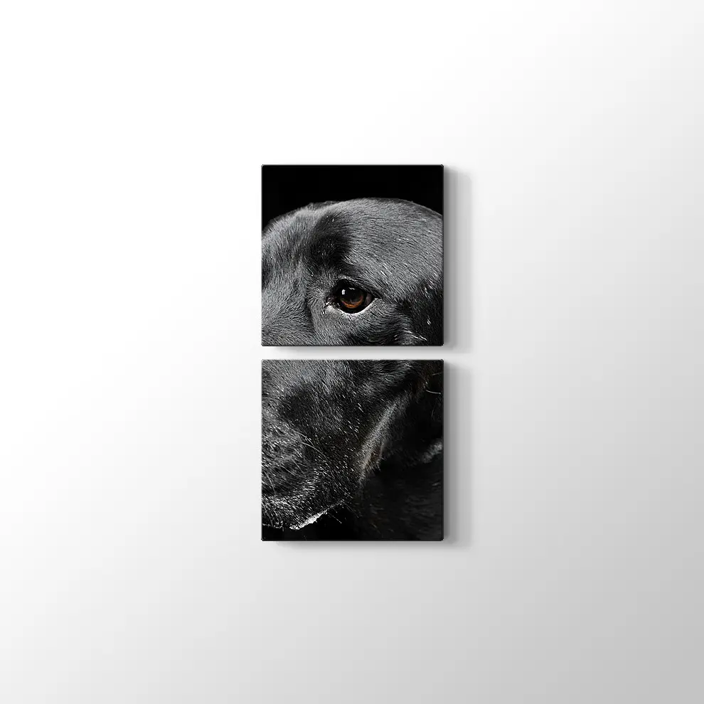 Siyah Köpek Kanvas Tablo