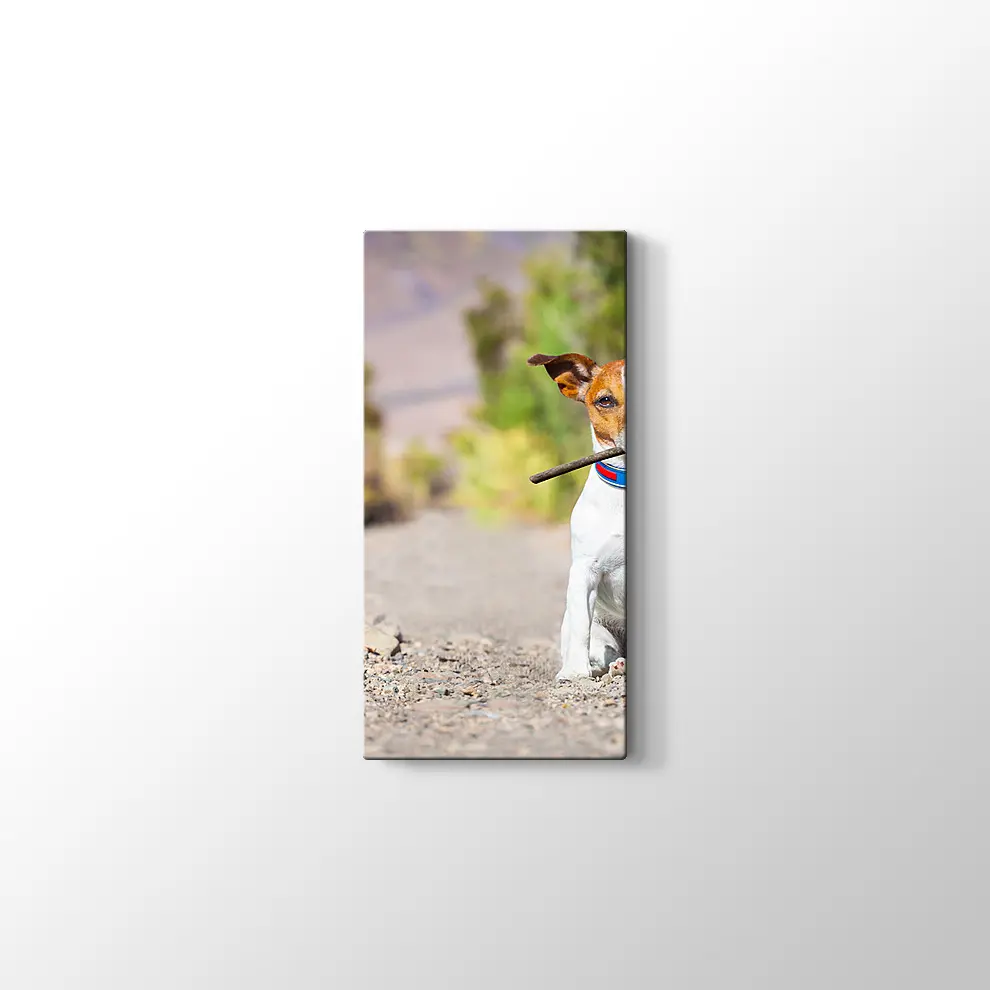 Terk Edilmiş Köpek Kanvas Tablo