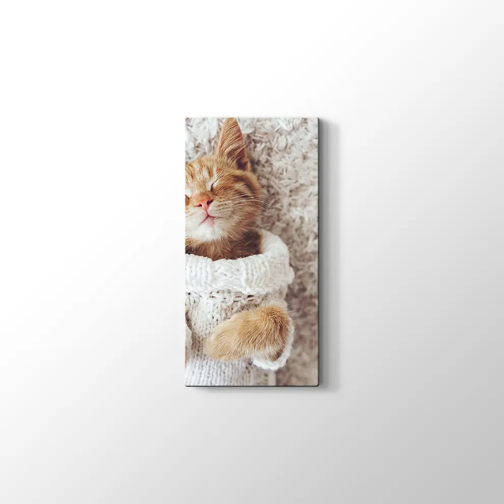 Kızıl Kedi Yavrusu Kanvas Tablo