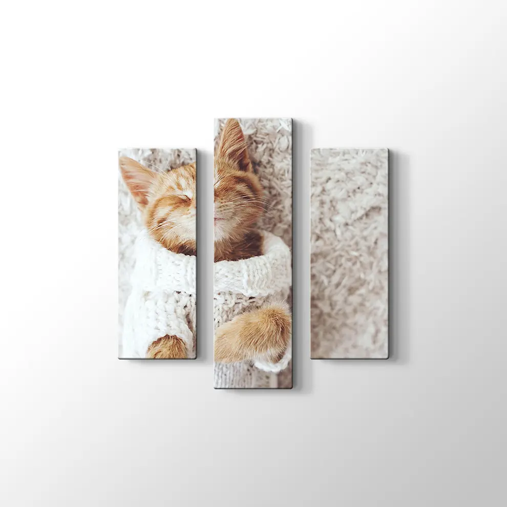 Kızıl Kedi Yavrusu Kanvas Tablo
