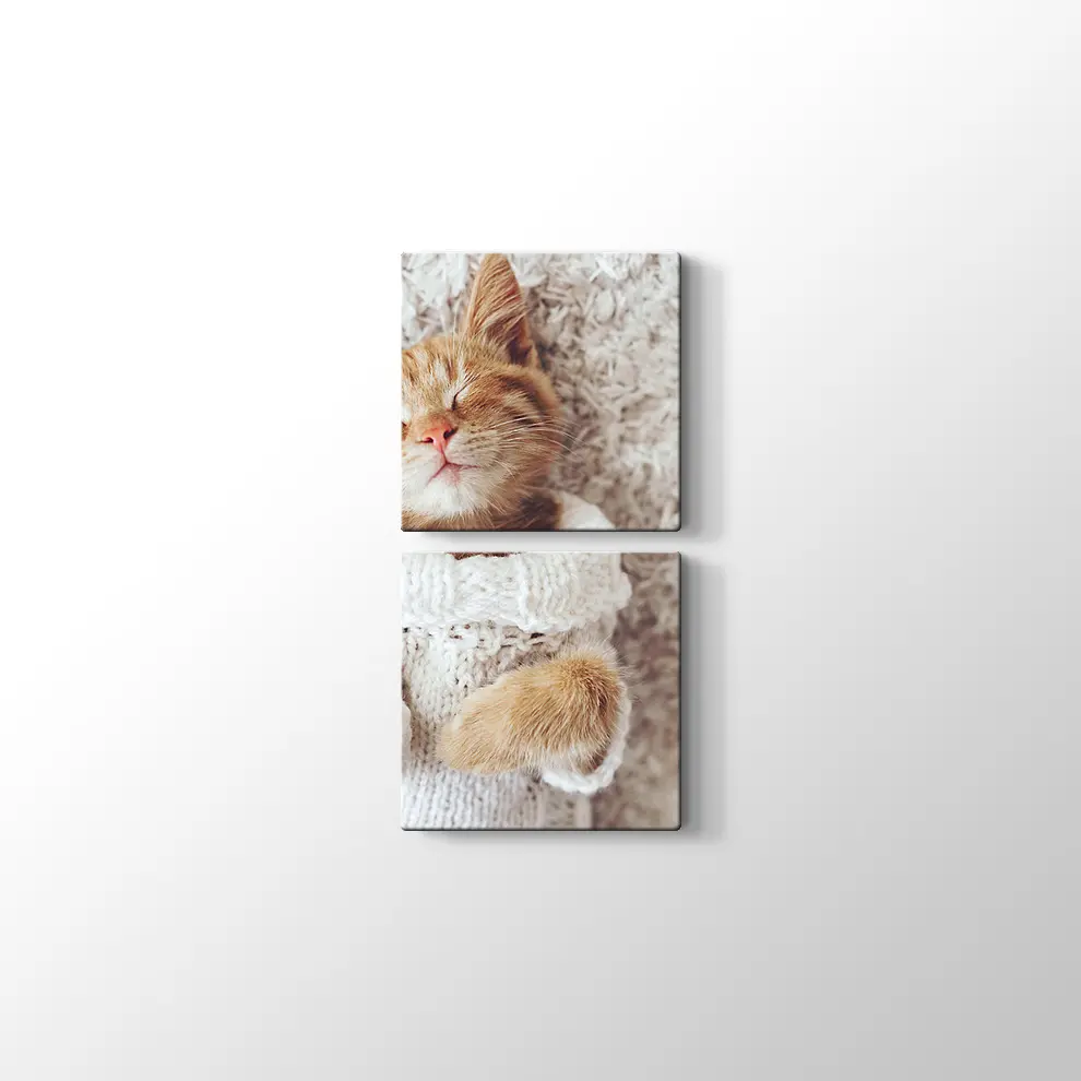 Kızıl Kedi Yavrusu Kanvas Tablo