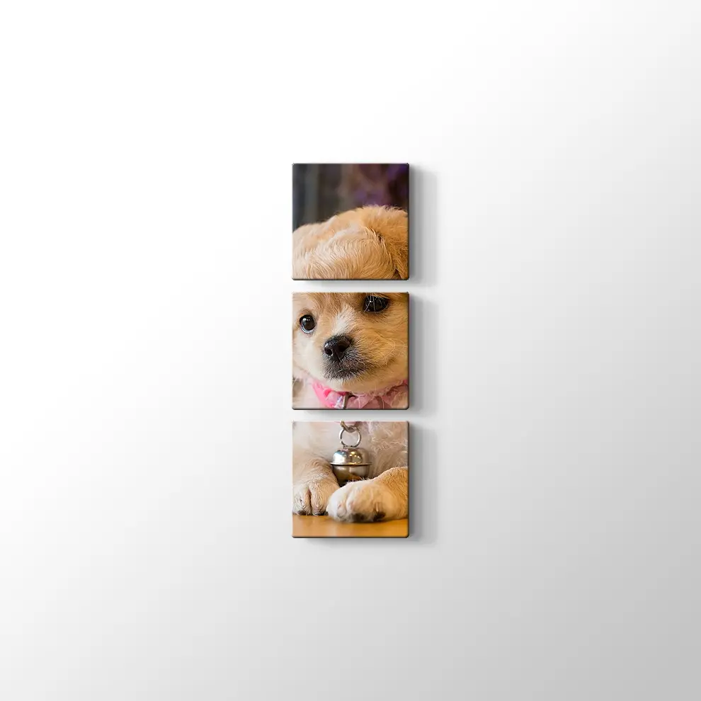 Yavru Köpek Kanvas Tablo