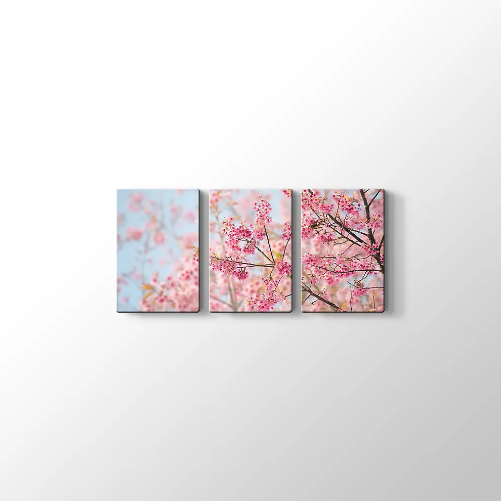 Sakura Çiçeği Kanvas Tablo