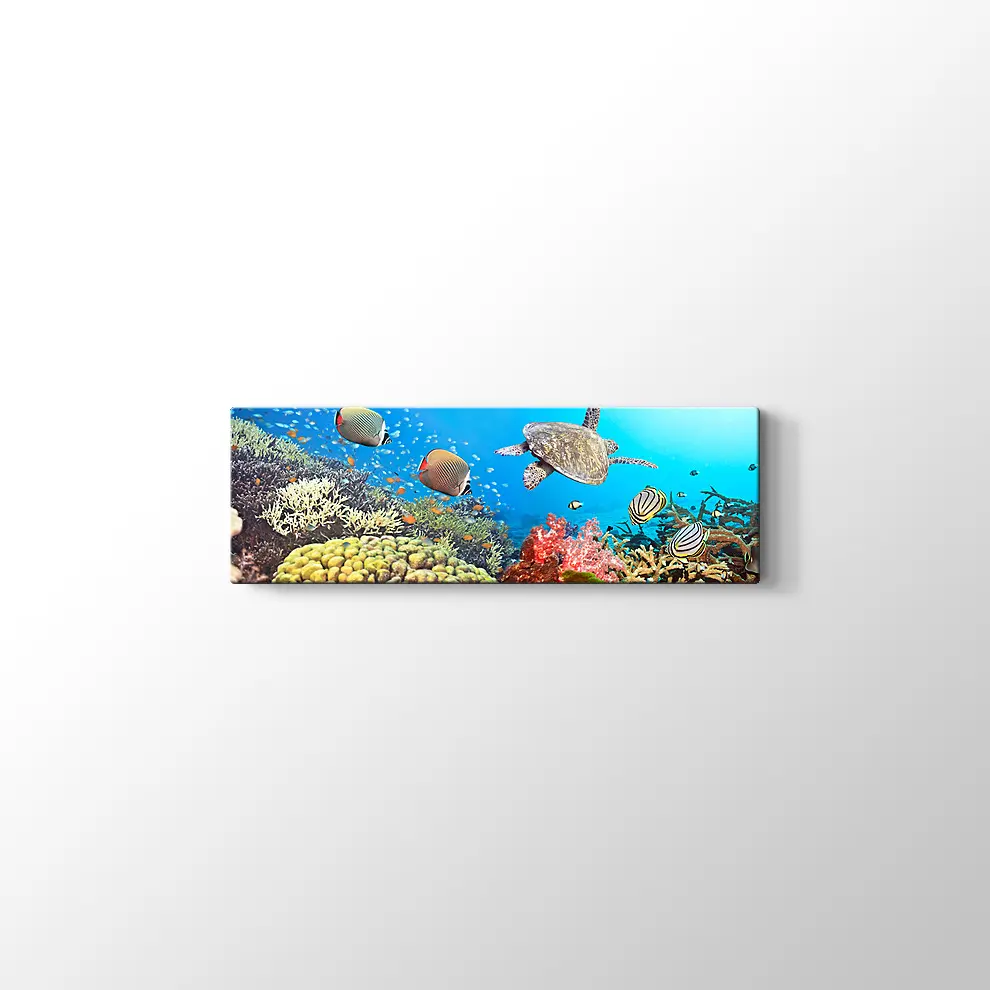 Panaroma Su Altı Canlıları Kanvas Tablo