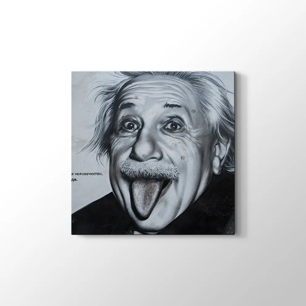 Albert Einstein Kanvas Tablo