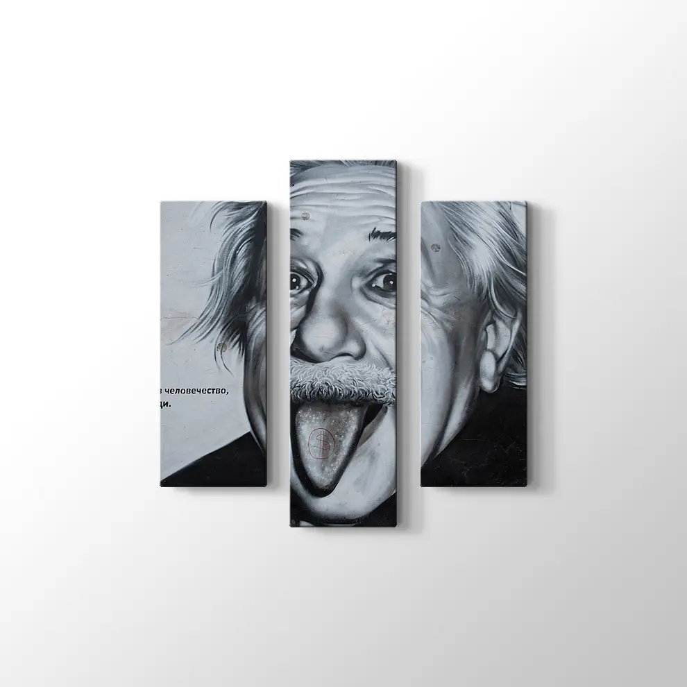 Albert Einstein Kanvas Tablo