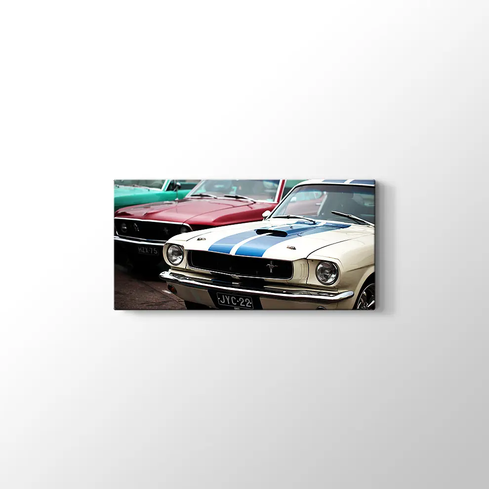 1966 Ford Mustang Fastback GT ve 1969 Ford Mustang Mach Kanvas Tablo