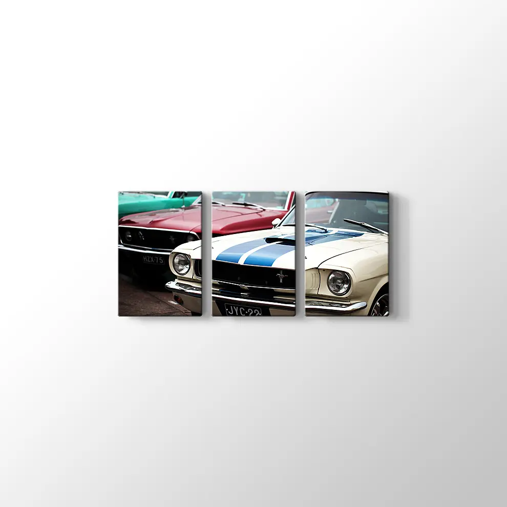 1966 Ford Mustang Fastback GT ve 1969 Ford Mustang Mach Kanvas Tablo